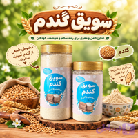 سویق گندم