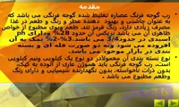 پاورپوینت جامع فرایند تولید رب گوجه فرنگی در ۲۶ اسلاید تخصصی