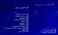 پاورپوینت جامع معرفی گل‌ها و گیاهان دارویی در ۶۴ اسلاید تخصصی و قابل ویرایش