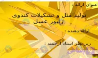 پاورپوینت زنبور عسل؛ تشکیلات کندو و تولید مثل در 50 اسلاید علمی