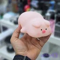 شب خوابهای شارژی فانتزی