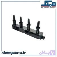 کوئل رانا همتک