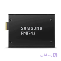 اس اس دی سامسونگ SAMSUNG PM1743 15.36TB MZWLO15THBLA-00A07