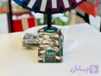 مداد طراحی آرتیست آریا 12 عددی جعبه فلزی