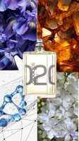 عطر گرمی اسنتریک مولکول 02 - زد پرفیوم