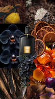 عطر گرمی تام فورد بلک ارکید - زد پرفیوم