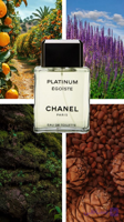 عطر گرمی شانل آگویست پلاتینیوم - زد پرفیوم