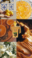 عطر گرمی زرجوف کازاموراتی لیرا - زد پرفیوم