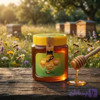 عسل گون طبیعی ۵۰۰ گرم | عسل پیری