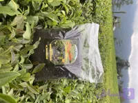 چای خشک سیاه ممتاز (۲۵۰ گرمی )حقان چای