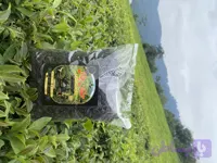 چای خشک سیاه (کارگاهی سنتی )حقان چای گزلبن (۲۵۰ گرمی )