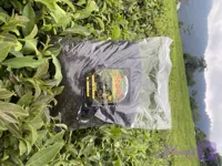 چای خشک سیاه شکسته ممتاز( نیم کیلوگرمی )حقان چای