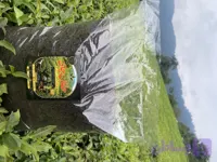 چای خشک شکسته ممتاز سیاه (یک کیلویی) حقان چای