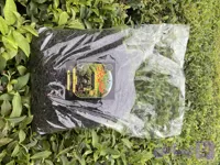 چای خشک سیاه (کارگاهی سنتی خانگی) حقان چای | گزلبن (یک کیلویی)