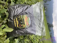 چای خشک سیاه وزین( نیم کیلوگرم )حقان چای