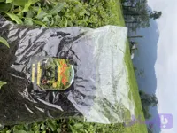 چای خشک سیاه (کارگاهی سنتی خانگی )حقان چای | گزلبن(نیم کیلویی)