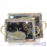 سینی استیل جفت ۶۹۰۲