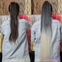 مو دم اسبی آمبره و لایت