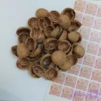 پوست گردو مناسب شمع وارمر بسته 100 عددی