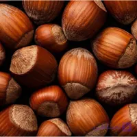 نهال فندق انیس 2 ساله