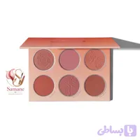 پالت رژگونه ۶ رنگ (Floral Plush Blush Palette) اورجینال