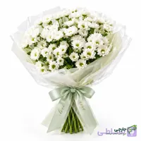 دسته گل طبیعی بوم خوشبختی (Toile de Bonheur)