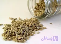 زیره سبز خوش عطر