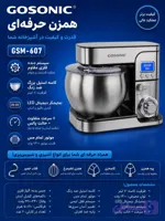 همزن حرفه ای 607گوسونیک
