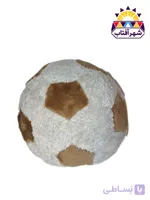 توپ پولیشی