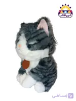 عروسک پیشی پولیشی
