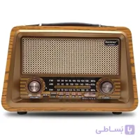 رادیو رایسنگ مدل R-2066BT