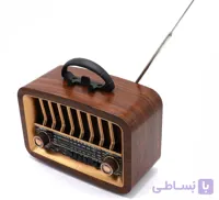 رادیو مدل NS-6639BT