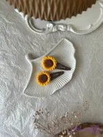 گیره تق تقی افتابگردون