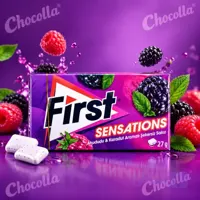 آدامس تمشک و توت فرنگی فرست First ترکیه ۲۷ گرم