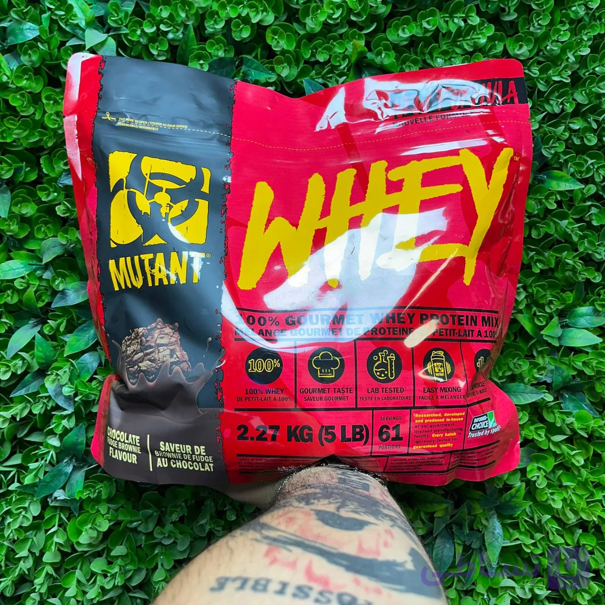 پروتئین وی موتانت ۲.۲۷ کیلوگرمی (MUTANT Whey 100% Gourmet)