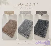 پادری شگی