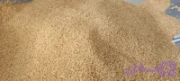 کنجد دو آتیشه یک کیلویی