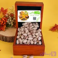 پسته عباس‌علی ممتاز شور نمکی سایز درشت