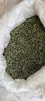 بنه یا پسته کوهی کردستان هورامان خشک شده( یک کیلویی)