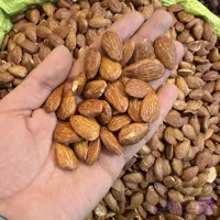 بادام درختی
