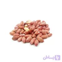 مغز بادام زمینی آستانه