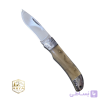 جراحی دسته شاخی سایز کوچک