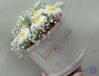 باکس بابونه ،ب همراه گل عروس،هدیه ای حاویدان