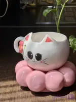 فنجون پیشی و زیر فنجونی🐱❤️