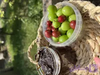 رب آلوچه جنگلی ملس