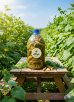 خیارشور خانگی بزرگ