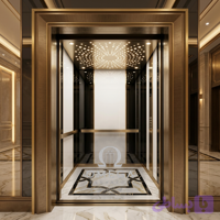 کابین آسانسور هایگلاس استیل با استیل دودی