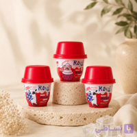 بستنی پودری رویال کوکو مدل تشویقی سگ ۴۸ گرم