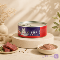 کنسرو هپی تایم مدل پته گربه بالغ ۸۰ گرم