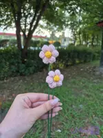 گل بافتنی بابونه